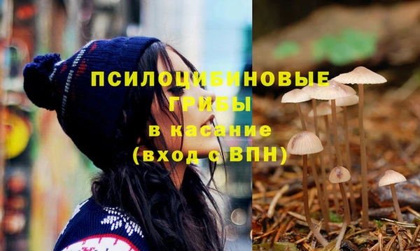 гашик Россошь