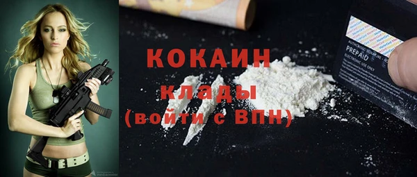 гашик Россошь