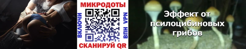 закладки  Алатырь  Псилоцибиновые грибы мицелий 